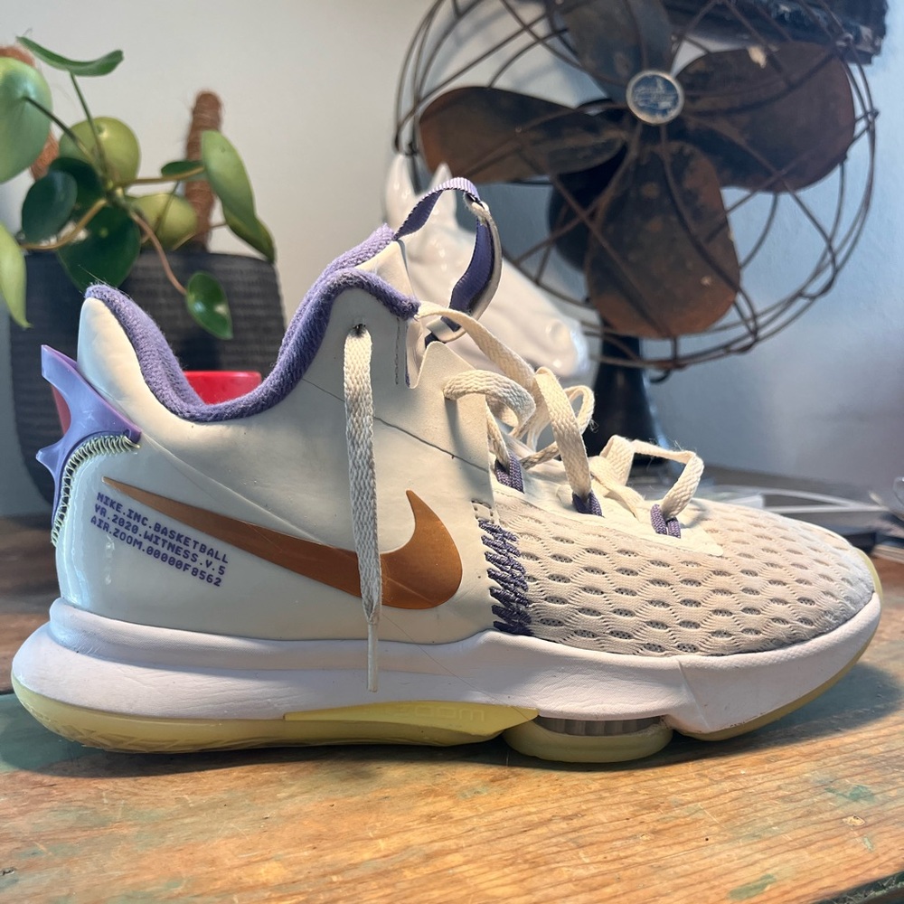 Lebron Witness 5 EP Summit White Nike basketball shoes